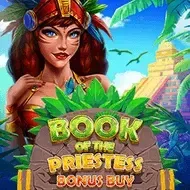 Book of the Priestess game thumbnail