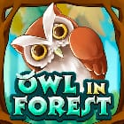 Owl In Forest game thumbnail